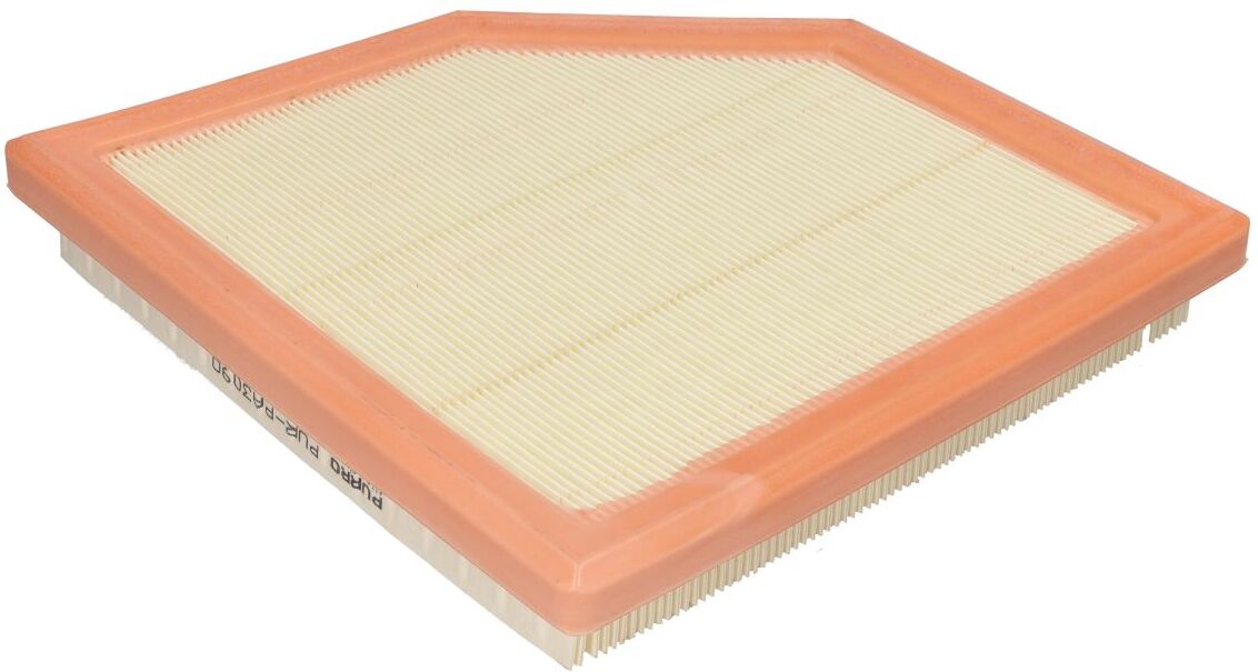 Luftfilter PURRO PUR-PA3090