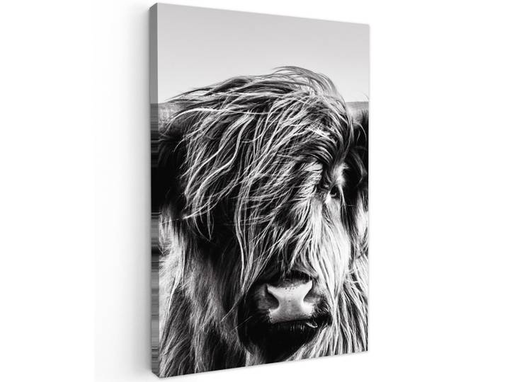 LEINWANDBILD Kuh - Schottischer Hochländer - Schwarz - Weiß - Tier - Natur - Wildtiere Wanddeko 40x60 cm