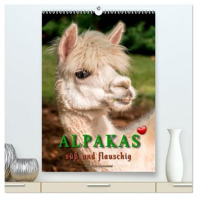 Alpakas - süß und flauschig (hochwertiger Premium Wandkalender 2026 DIN A2 hoch), Kunstdruck in Hochglanz