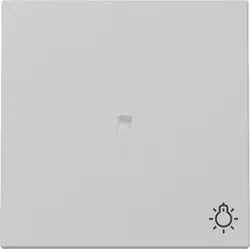 Gira Wippe mit Kontrollfenster und Symbol Licht (grau matt)