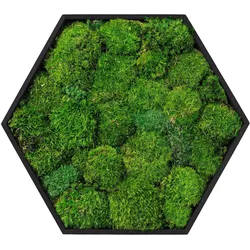 MOOSBILD Hexagon 38x34 cm Mooswand Indoor mit echtem Kugelmoos und Holzrahmen Grün Pflegefrei