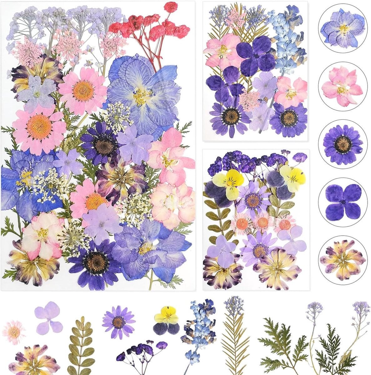 Gedroogde Bloemen Natuurlijke Decoratie Paars