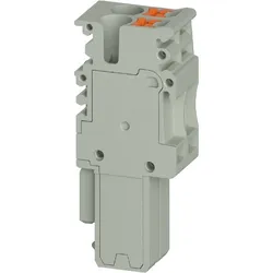Wieland Buchsenstecker WTPN 2.5 PG02P