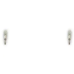 2x Glühkerze BOSCH 0 250 202 030