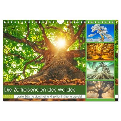 Die Zeitreisenden des Waldes (Wandkalender 2026 DIN A4 quer), CALVENDO Monatskalender