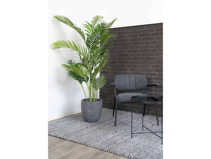 Dekopalme Areca 64 x 175 x 64cm