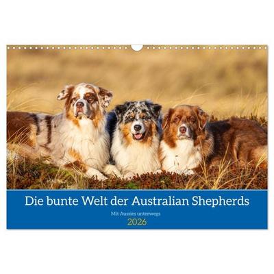 Mit Aussies unterwegs - Die bunte Welt der Australian Shepherds (Wandkalender 2026 DIN A3 quer), CALVENDO Monatskalender