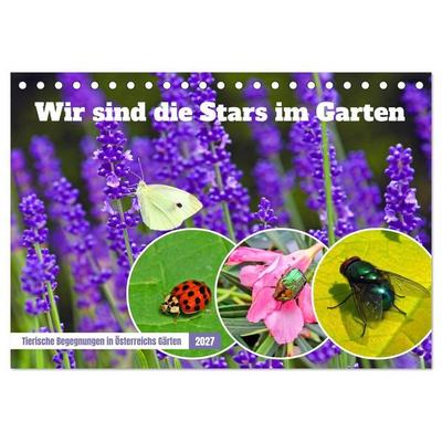 Wir sind die Stars im Garten (Tischkalender 2027 DIN A5 quer), CALVENDO Monatskalender