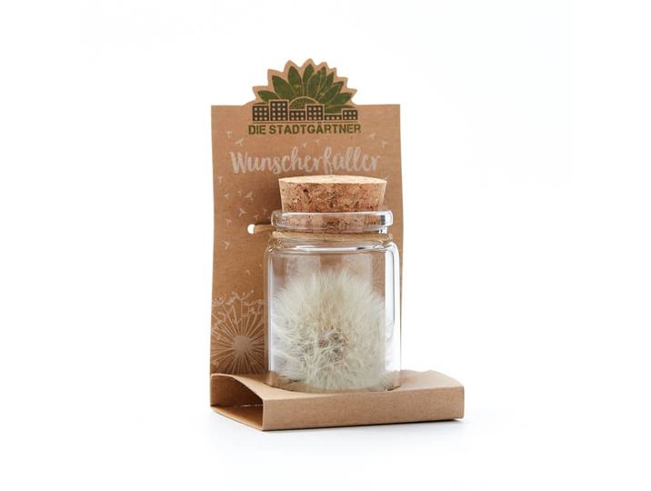Wunscherfüller Glas mit Korkverschluss, natürliche Pusteblume im Glas, gross