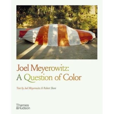 Joel Meyerowitz, Taschenbuch von Joel Meyerowitz, Thames & Hudson, 978-0-500-29789-6