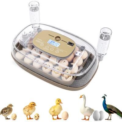 Costway Egg Incubator with Temp and Humidity Control