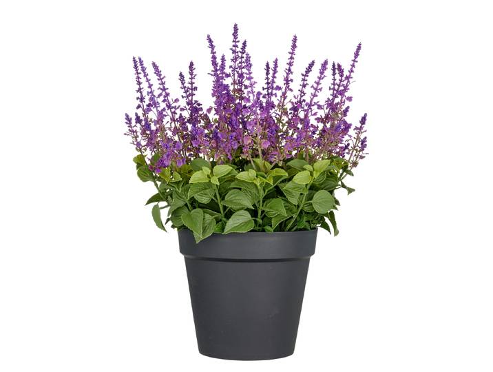 Kunstblume Salvia Superba Typ B 40 x 65 x 40cm Violett