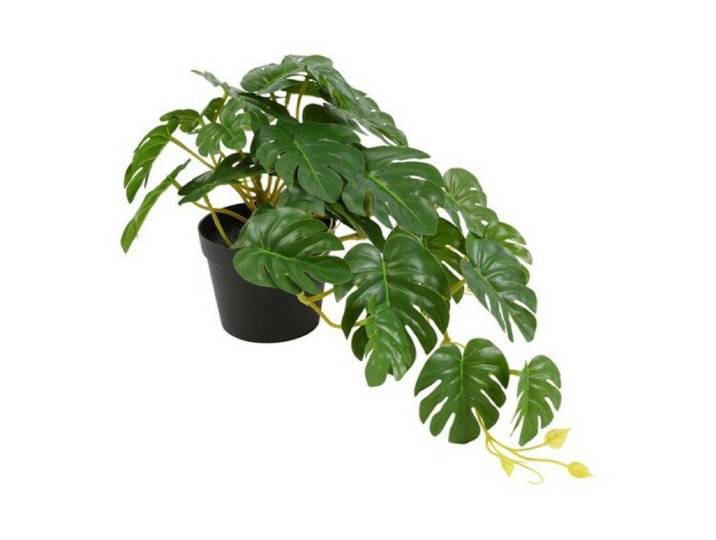 Countryfield zijden Monstera hangplant 28 cm groen
