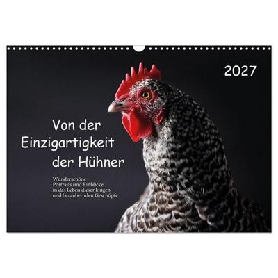 Von der Einzigartigkeit der Hühner (Wandkalender 2027 DIN A3 quer), CALVENDO Monatskalender