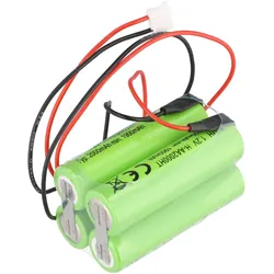 AccuCell Notleuchtenakku NiMH 4,8V 2000mAh F2x2 Mignon AA, RPower NIMHHT4820Q (AA), Akku Ladegerät