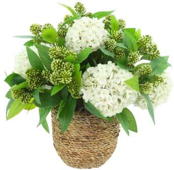 Creative Labs Viburnum and Sedum Arranged in Rope-Wrapped Pot