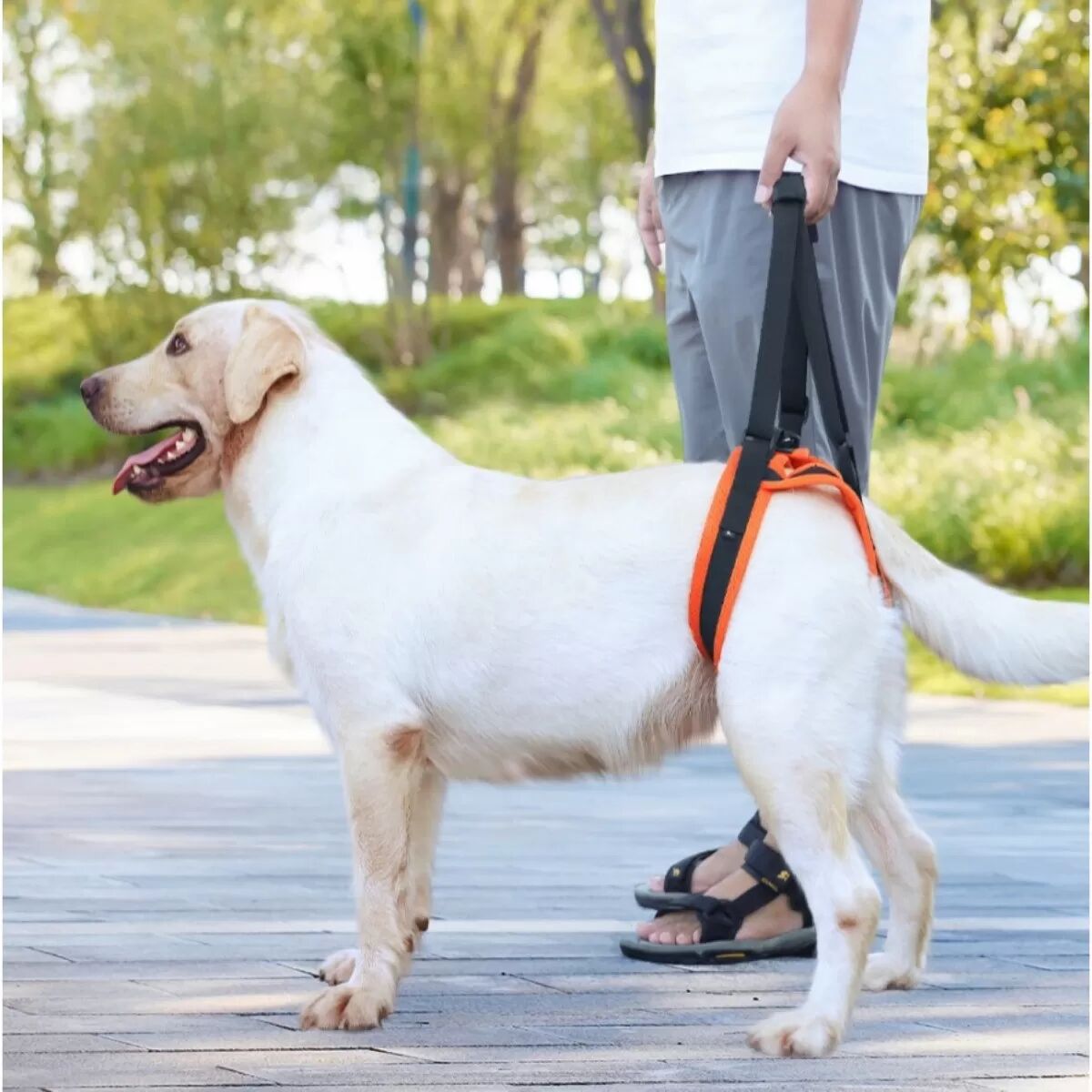 INF Verstellbarer Hunde-Hinterbein-Stützgurt für mobile Hundeunterstützung L