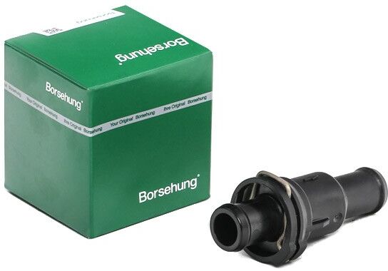 Borsehung B18777 Thermostat