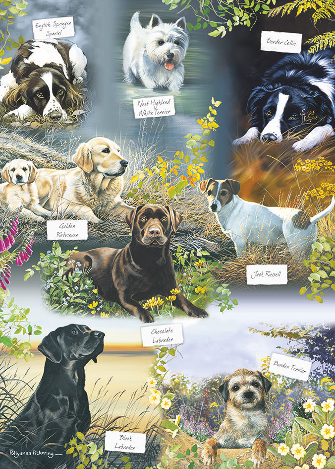 Otter House Puzzel De beste vriend van de mens 1000 stukjes