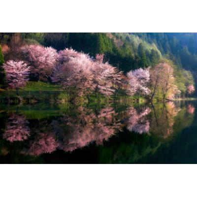 Fototapete PAPERMOON "Photo-Art TAKESHI MITAMURA, EINE ANDERE WELT", bunt, B:3,5m L:2,6m, Vlies, Tapeten