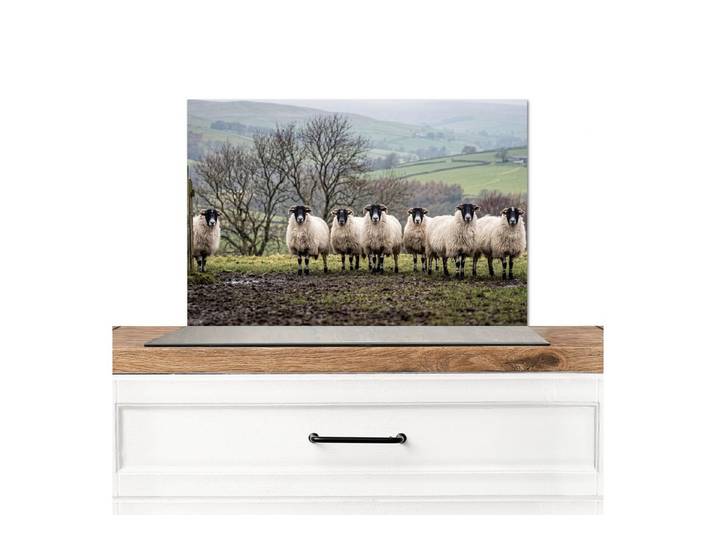 KitchenYeah Küchenrückwand Schafe - Reihe - Weide - Tiere - Landleben, (1-tlg), Küchenrückwand Platte, Spritzschutz, 120x60 cm