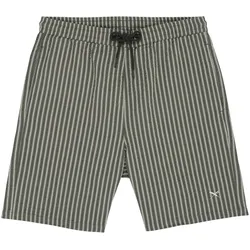 IRIEDAILY SEEKAH Walkshort 2026 smokey olive - M