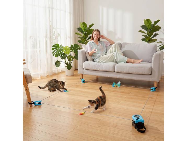 PawHut Jouet Chat Automatique Télécommandé Vitesse Réglable Noir