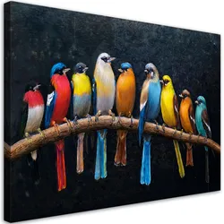 WANDBILD vögel tiere bunt