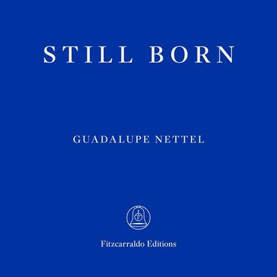 Still Born - Guadalupe Nettel, Audio, 9781804272015