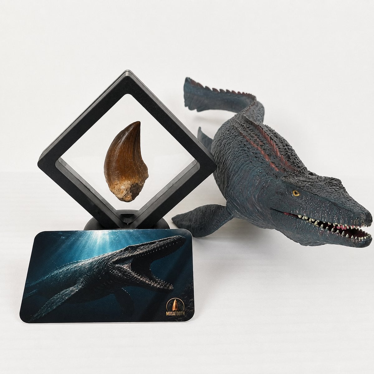 GreatGift Mosasaurus Fossiel met Echte Tand en Mosasaurus Speelfiguur, 4 cm en 38 cm
