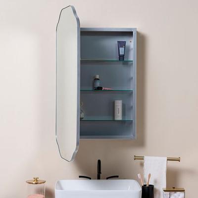 Cooper Classics Sebastian Medicine Cabinet , Silver