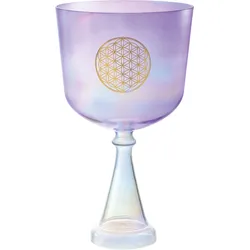 Meinl Sonic Energy CSC8FPFOL Crystal Singing Chalice 8"