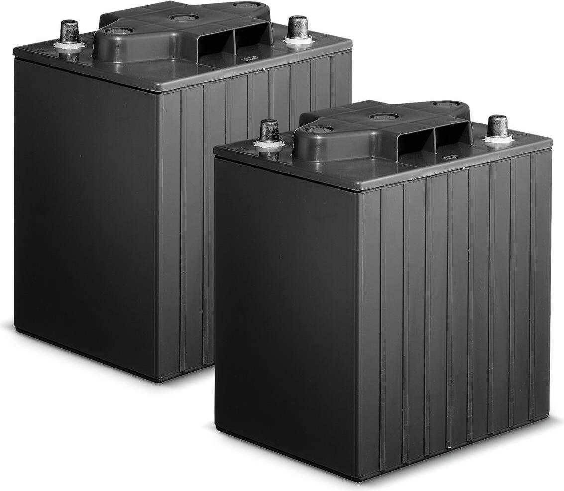 Kärcher 2.815-093.0, Batterie, 24 V, 2 Stück(e)