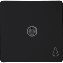 Kopp 339450006 HK05 - Wippe mit Linse, Symbol ”Licht”, Farbe: schwarz matt