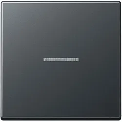 Jung Wippe mit Linse A 590 BF KO5 ANM