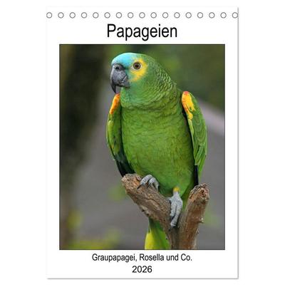 Papageien - Graupapagei, Rosella und Co. (Tischkalender 2026 DIN A5 hoch), CALVENDO Monatskalender