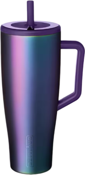 Lush Living Finds Leakproof Insulated Tumbler With Handle & Straw Travel Mug purple