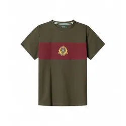 Hackett London für Jungen. HK5000068 Grünes Crest Panel-T-Shirt (7Años= 122cm), Lässig, Baumwolle, Kurzarm, Kinderbekleidung