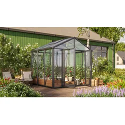 Vitavia Gewächshaus "Zeus Comfort 6200",schwarz,6,2 m2