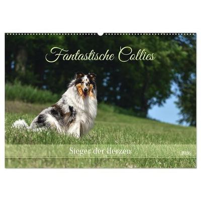 Fantastische Collies - Sieger der Herzen (Wandkalender 2026 DIN A2 quer), CALVENDO Monatskalender