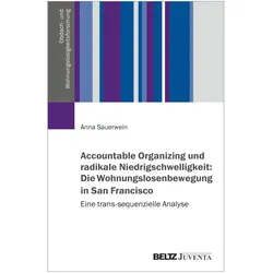 Sauerwein:Accountable Organizing und ra, Fachbücher von Anna Sauerwein