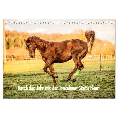 Durch das Jahr mit der Trakehner-Stute Fleur (Tischkalender 2027 DIN A5 quer), CALVENDO Monatskalender