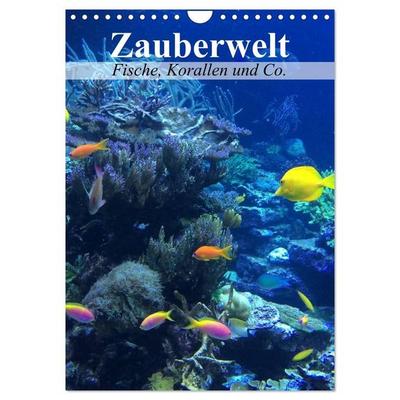 Zauberwelt. Fische, Korallen und Co. (Wandkalender 2027 DIN A4 hoch), CALVENDO Monatskalender