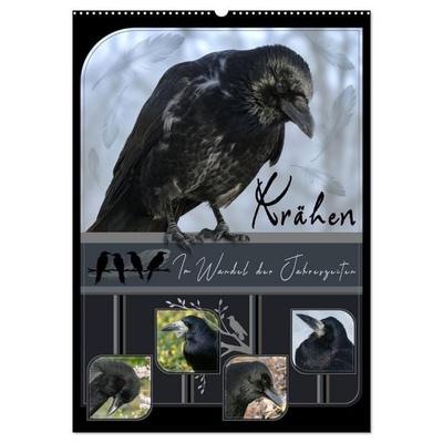 Krähen - Im Wandel der Jahreszeiten (Wandkalender 2027 DIN A2 hoch), CALVENDO Monatskalender