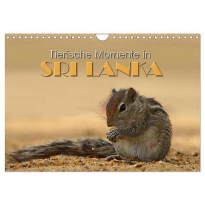 Sri Lanka - Tierische Momente (Wandkalender 2026 DIN A4 quer), CALVENDO Monatskalender