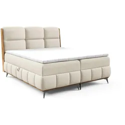 BOXBETT Charlie Premium