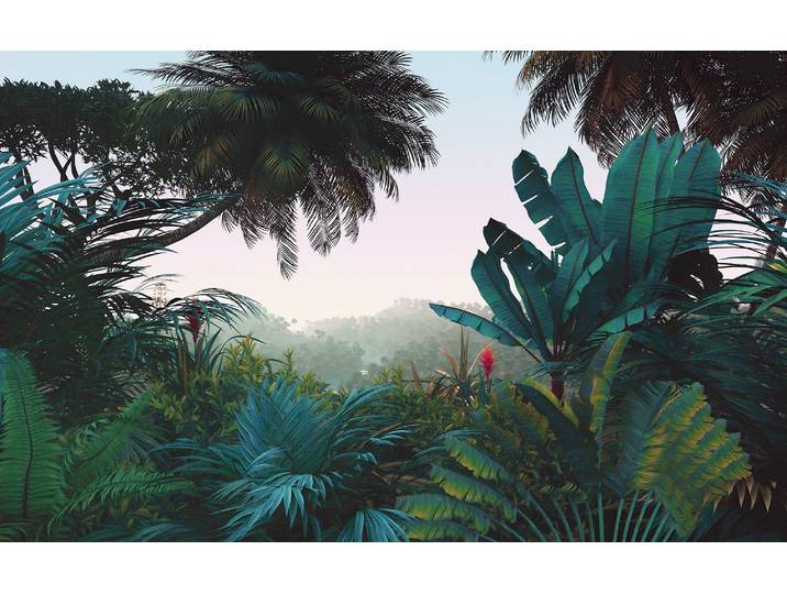 Vliestapete KOMAR Digitaldruck Vlies - Jungle Morning - Größe 400 x 250 cm , bunt, B:400m L:250m, Vlies, Tapeten, Vliestapete, Wohnzimmer, Schlafzimmer