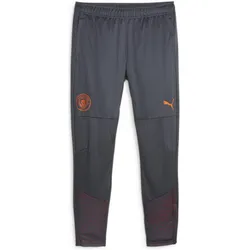Puma, Herren, Sporthose, MCFC Training Pants (S), Grau