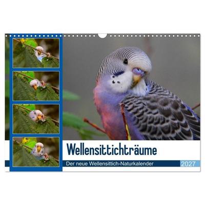 Wellensittichträume - Der neue Wellensittich-Naturkalender (Wandkalender 2027 DIN A3 quer), CALVENDO Monatskalender
