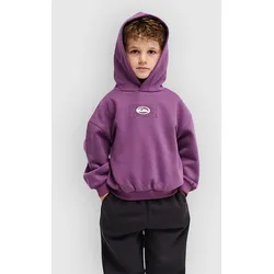 Quiksilver Tricks Boys Kids Hoodie grape jam Gr. T05